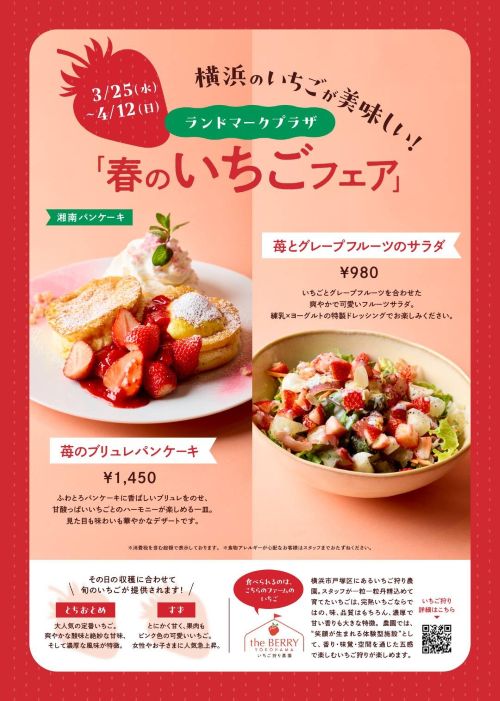 🍓✨ 春の苺フェア開催 ✨🍓